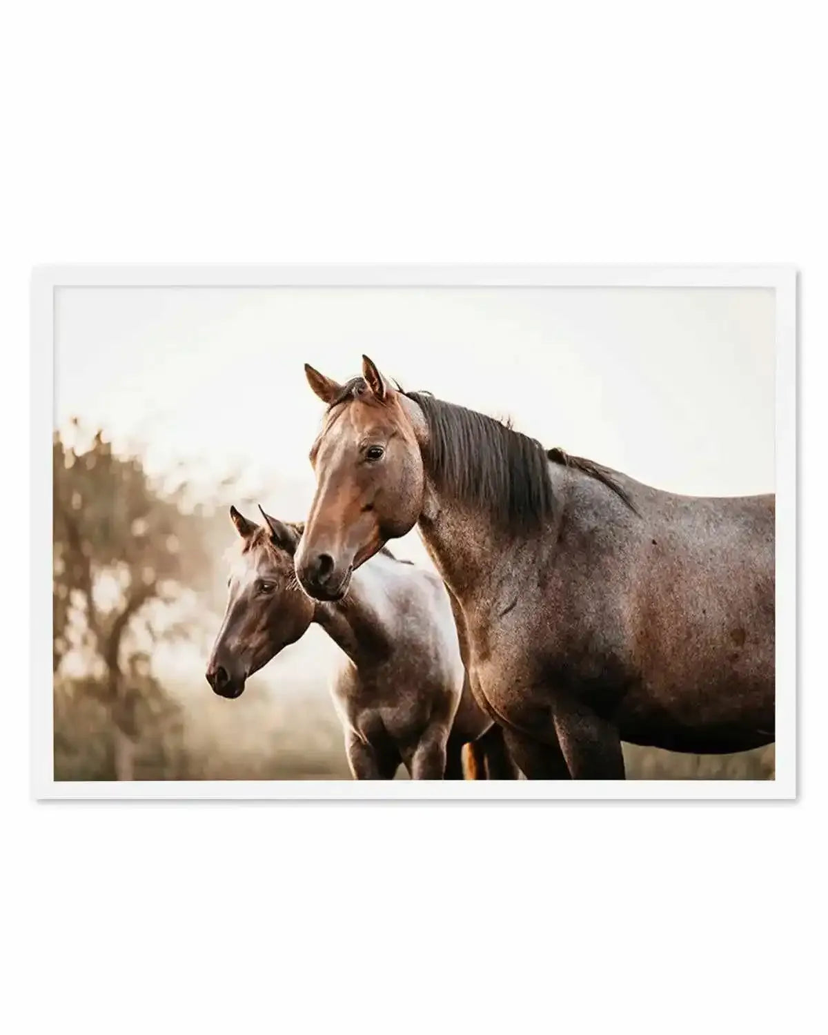 Horses in the Mist Art Print from Olive et Oriel where you can shop wallpaper and artworks online