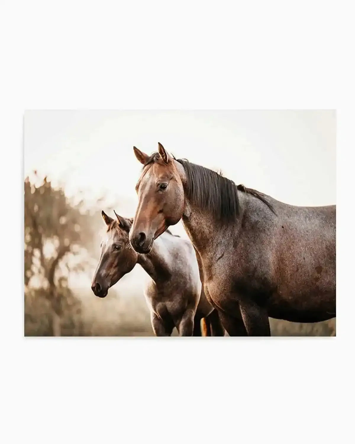 Horses in the Mist Art Print from Olive et Oriel where you can shop wallpaper and artworks online