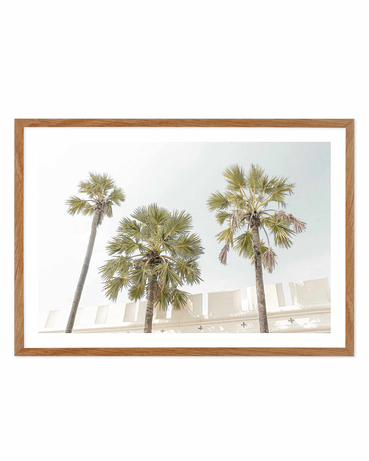 Hotel Palms Art Print