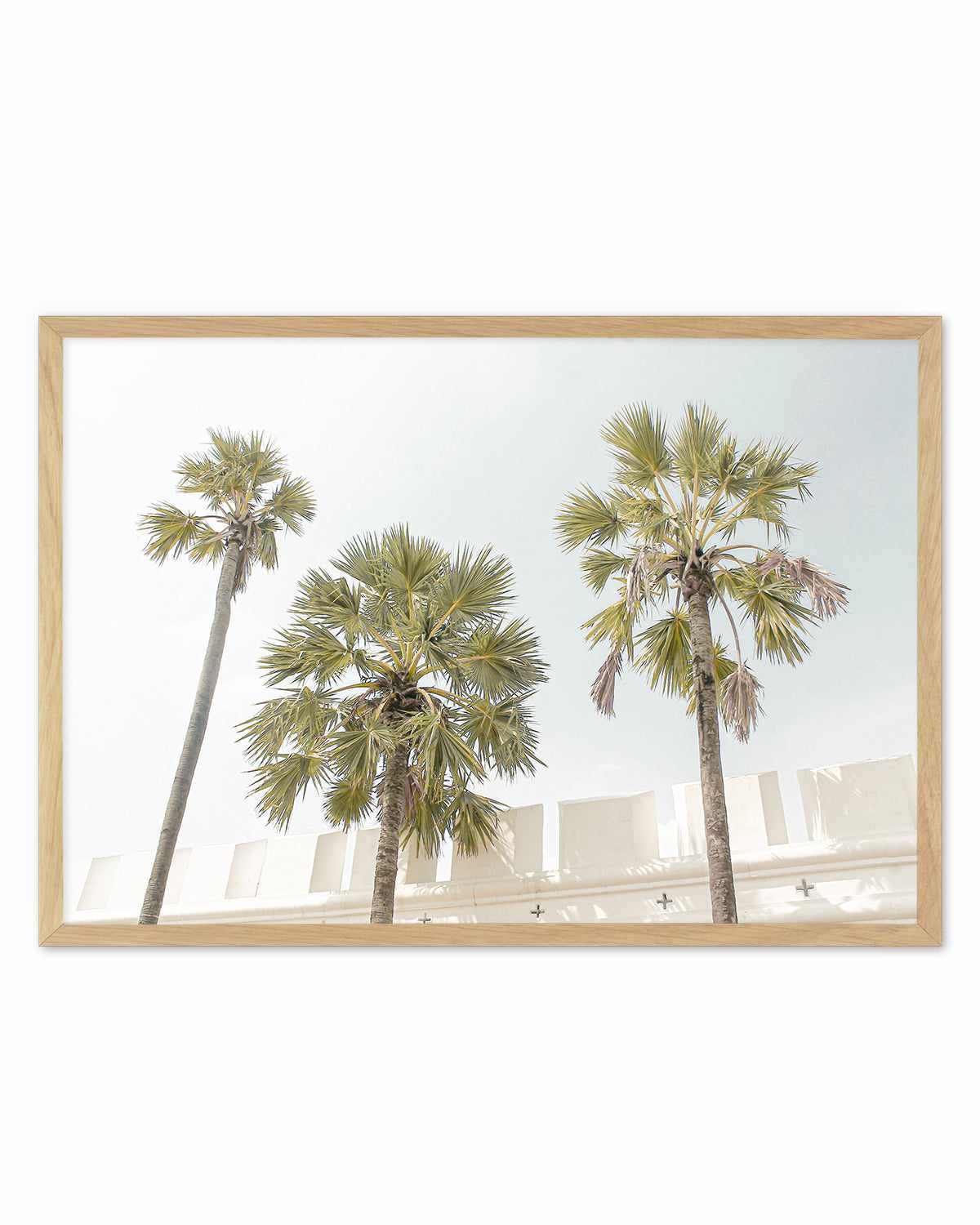 Hotel Palms Art Print