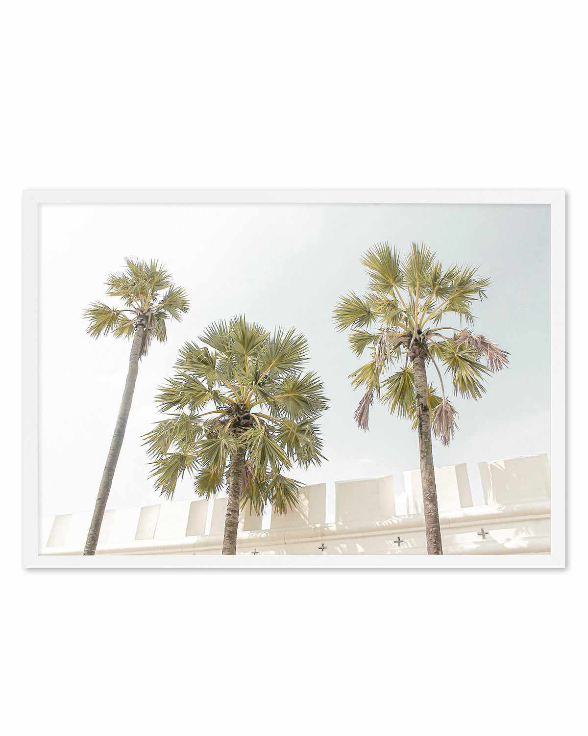 Hotel Palms Art Print