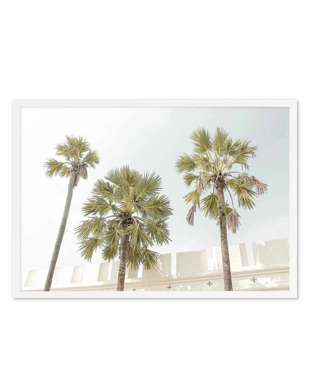 Hotel Palms Art Print from Olive et Oriel where you can shop wallpaper and artworks online