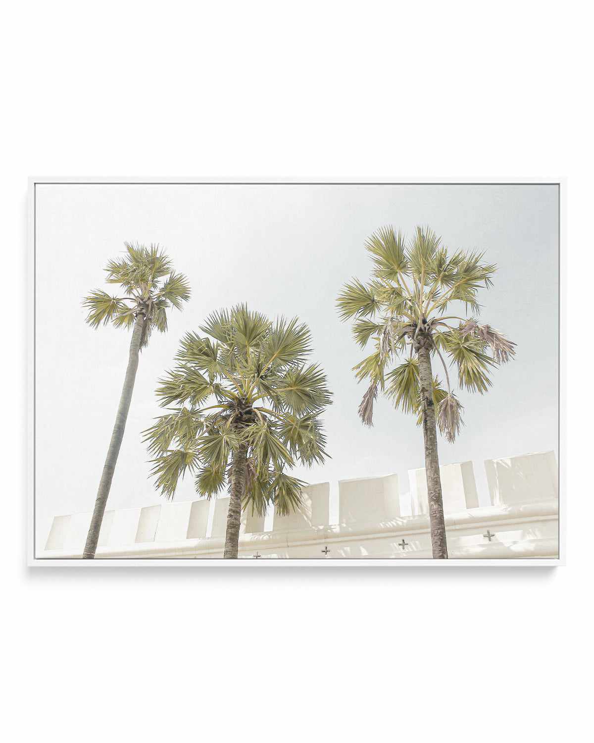 Hotel Palms | Framed Canvas Art Print