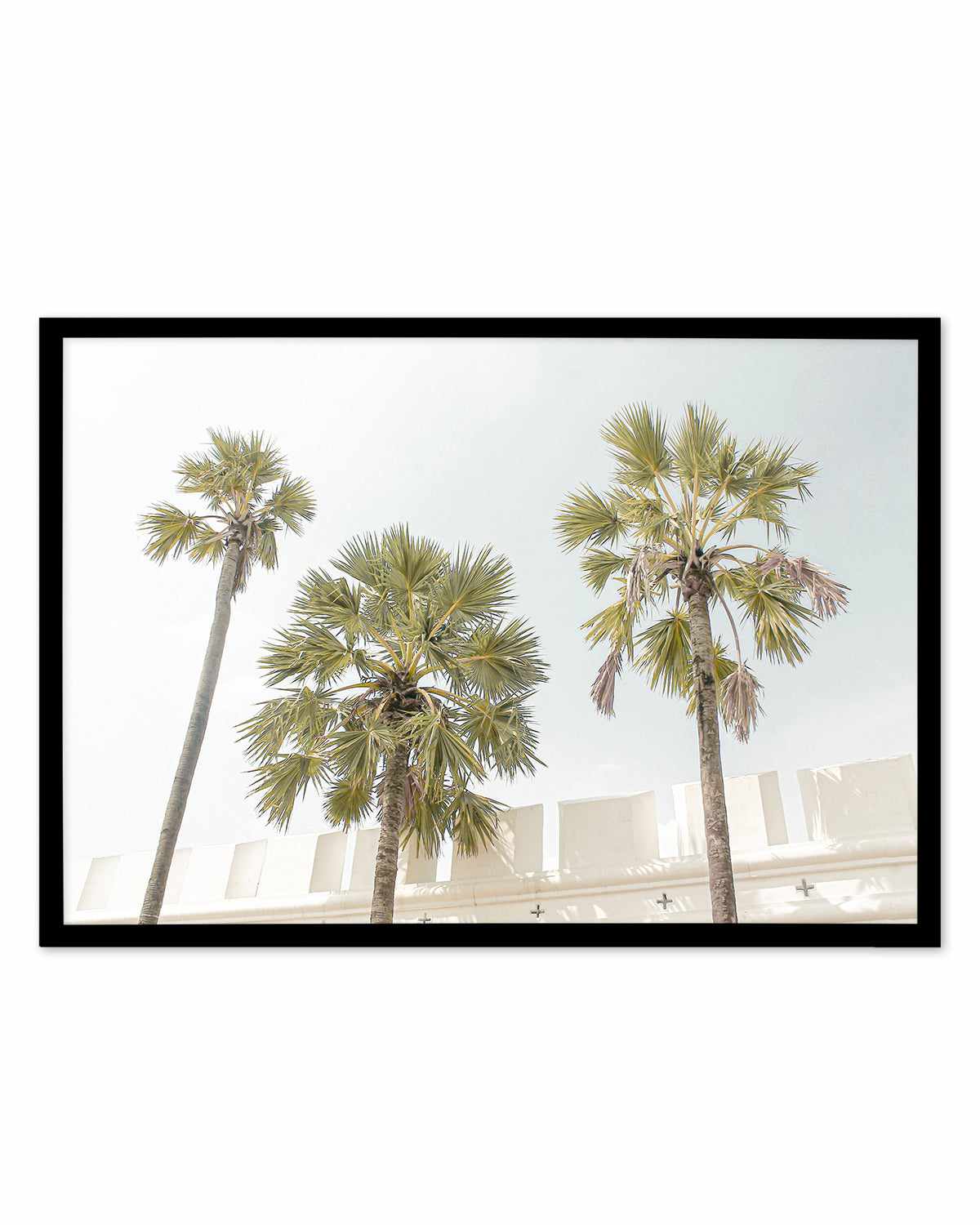 Hotel Palms Art Print