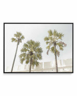 Hotel Palms | Framed Canvas Art Print