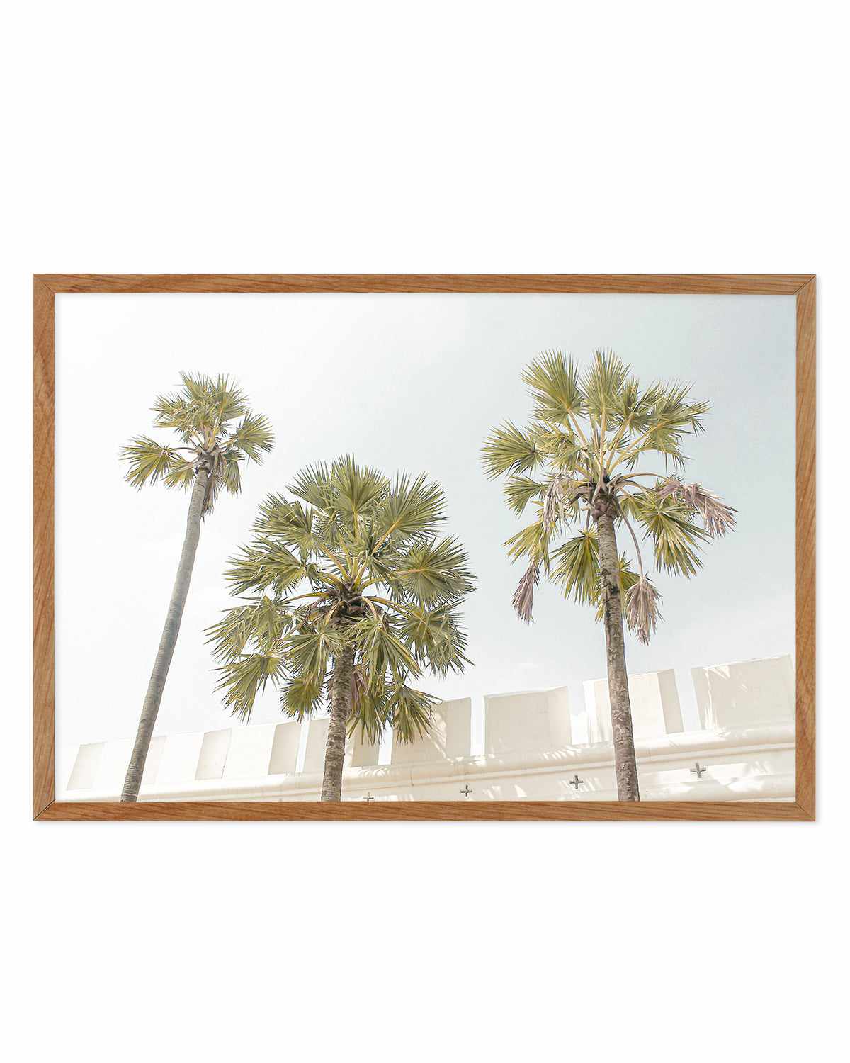 Hotel Palms Art Print