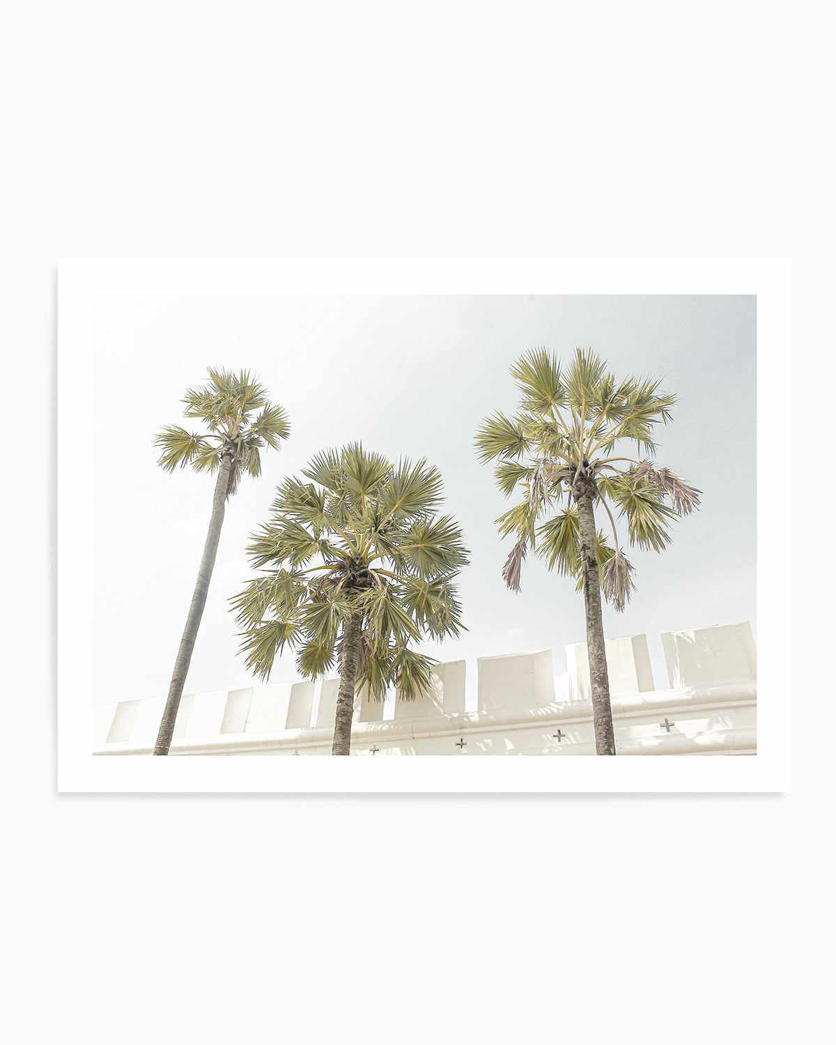 Hotel Palms Art Print