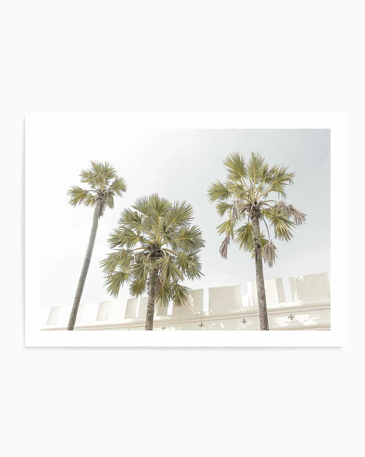 Hotel Palms Art Print from Olive et Oriel where you can shop wallpaper and artworks online
