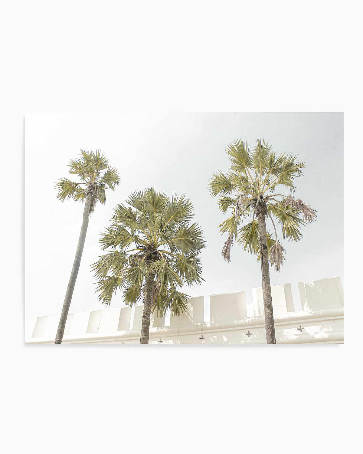 Hotel Palms Art Print