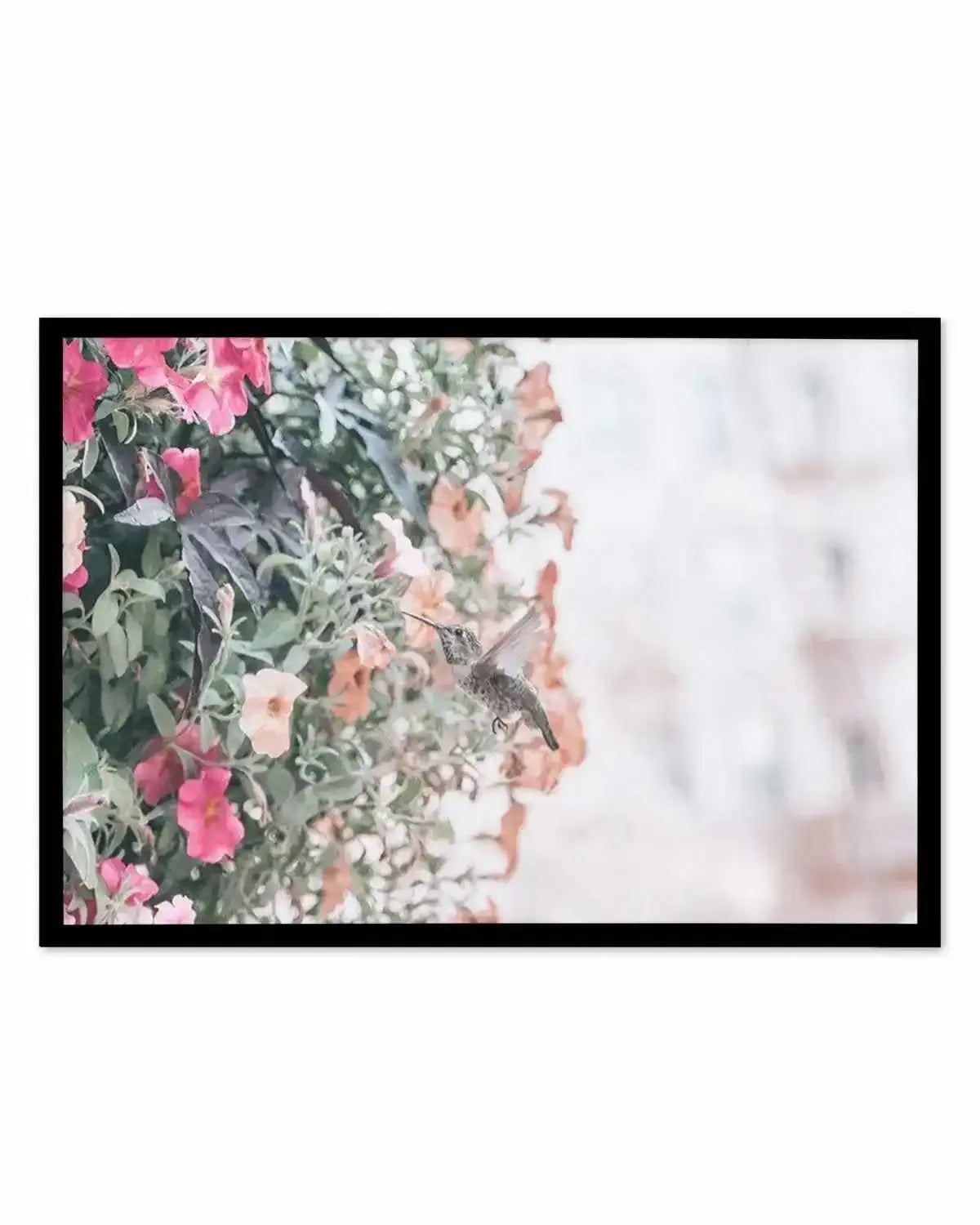 Hummingbird | Rodeo Drive Art Print from Olive et Oriel where you can shop wallpaper and artworks online