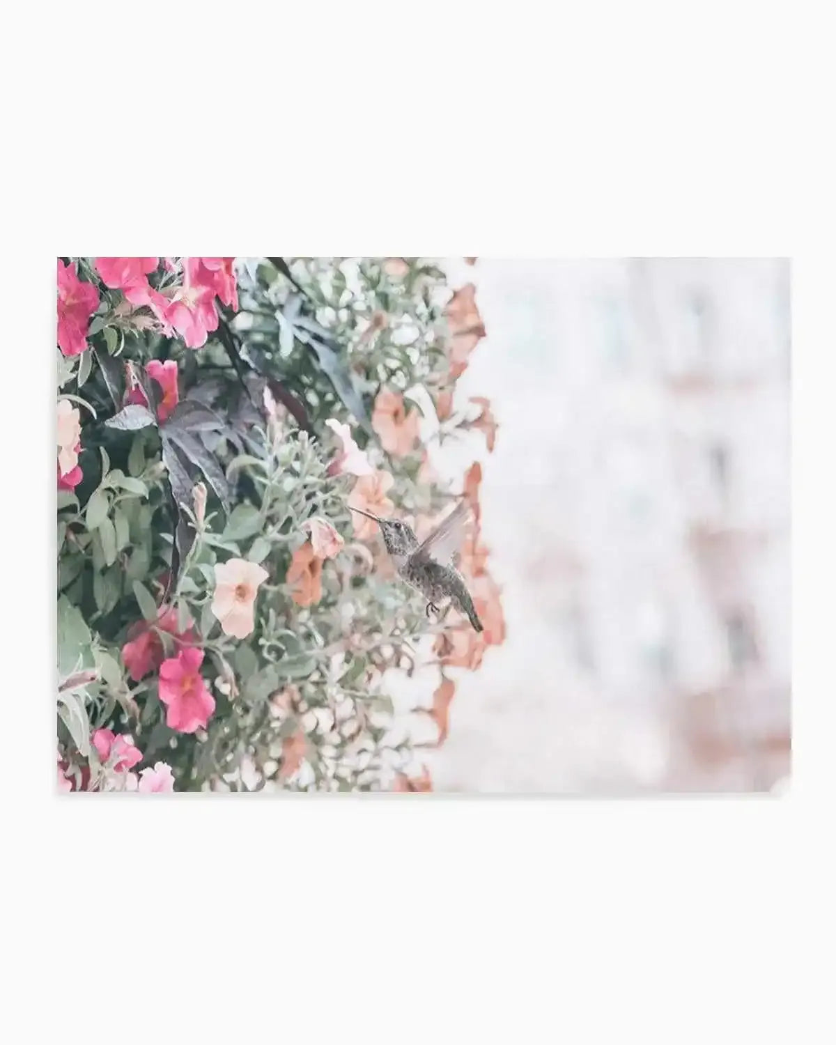 Hummingbird | Rodeo Drive Art Print from Olive et Oriel where you can shop wallpaper and artworks online