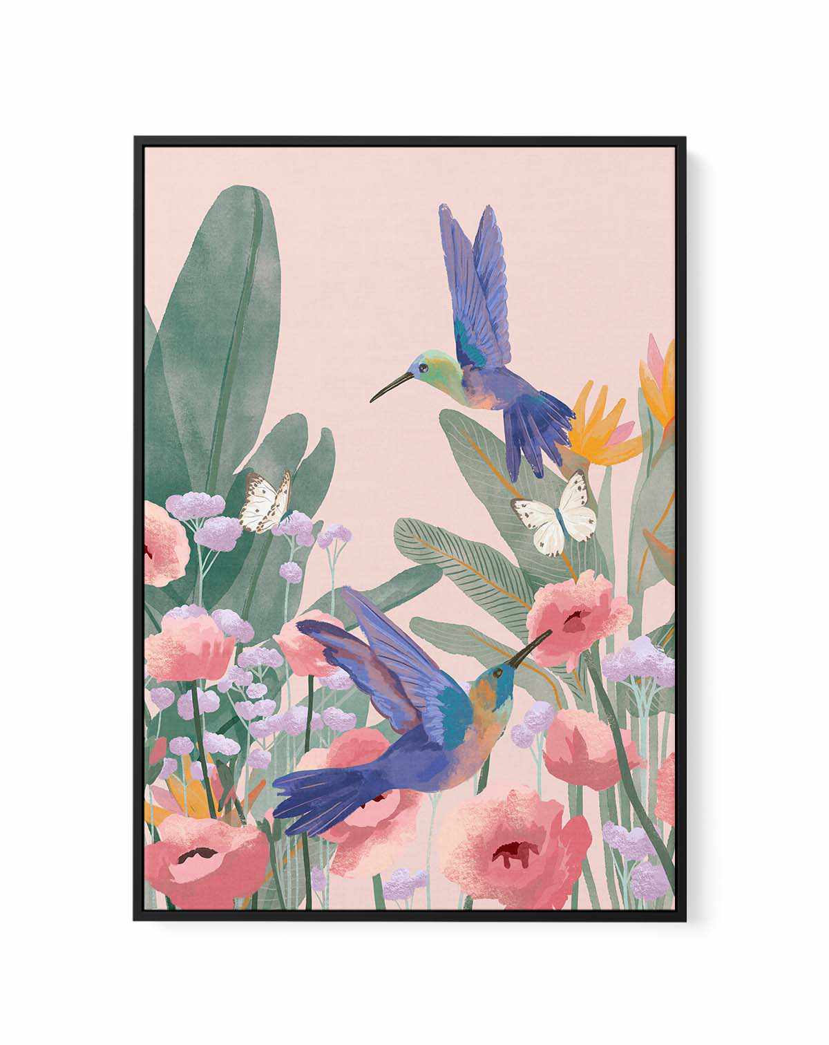 Hummingbirds by Goed Blauw | Framed Canvas Art Print