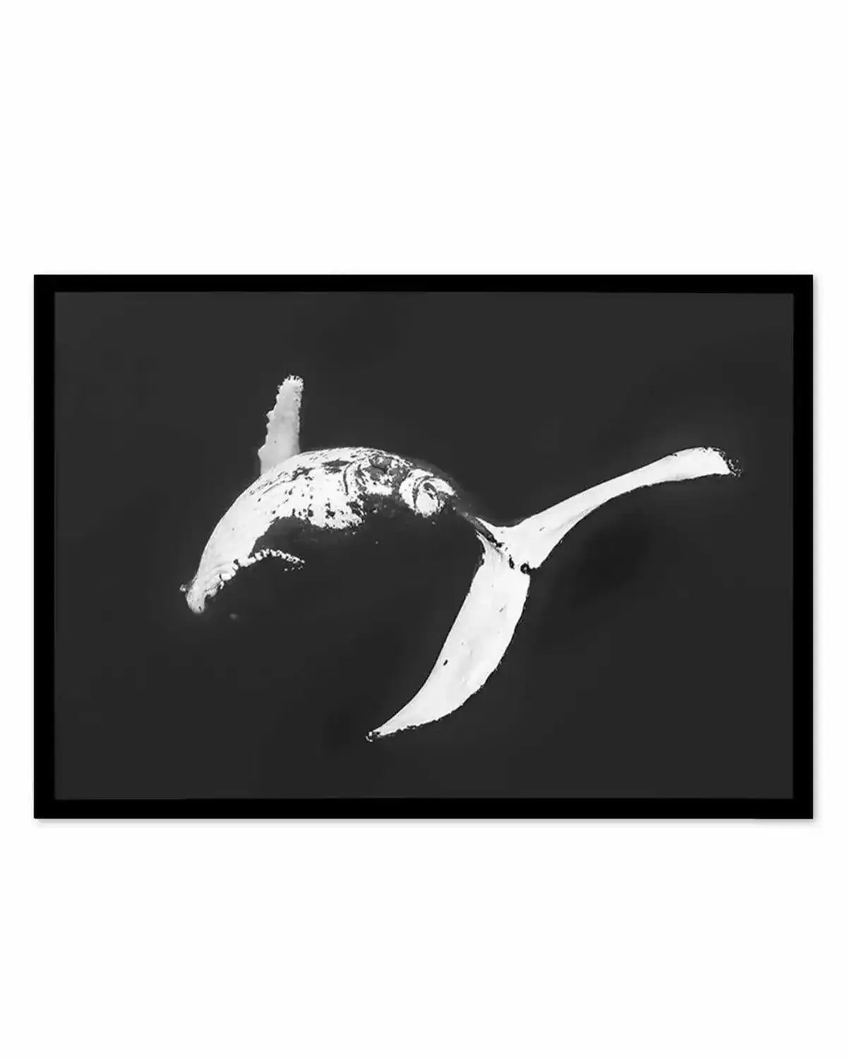 Humpback Whales I Art Print from Olive et Oriel where you can shop wallpaper and artworks online