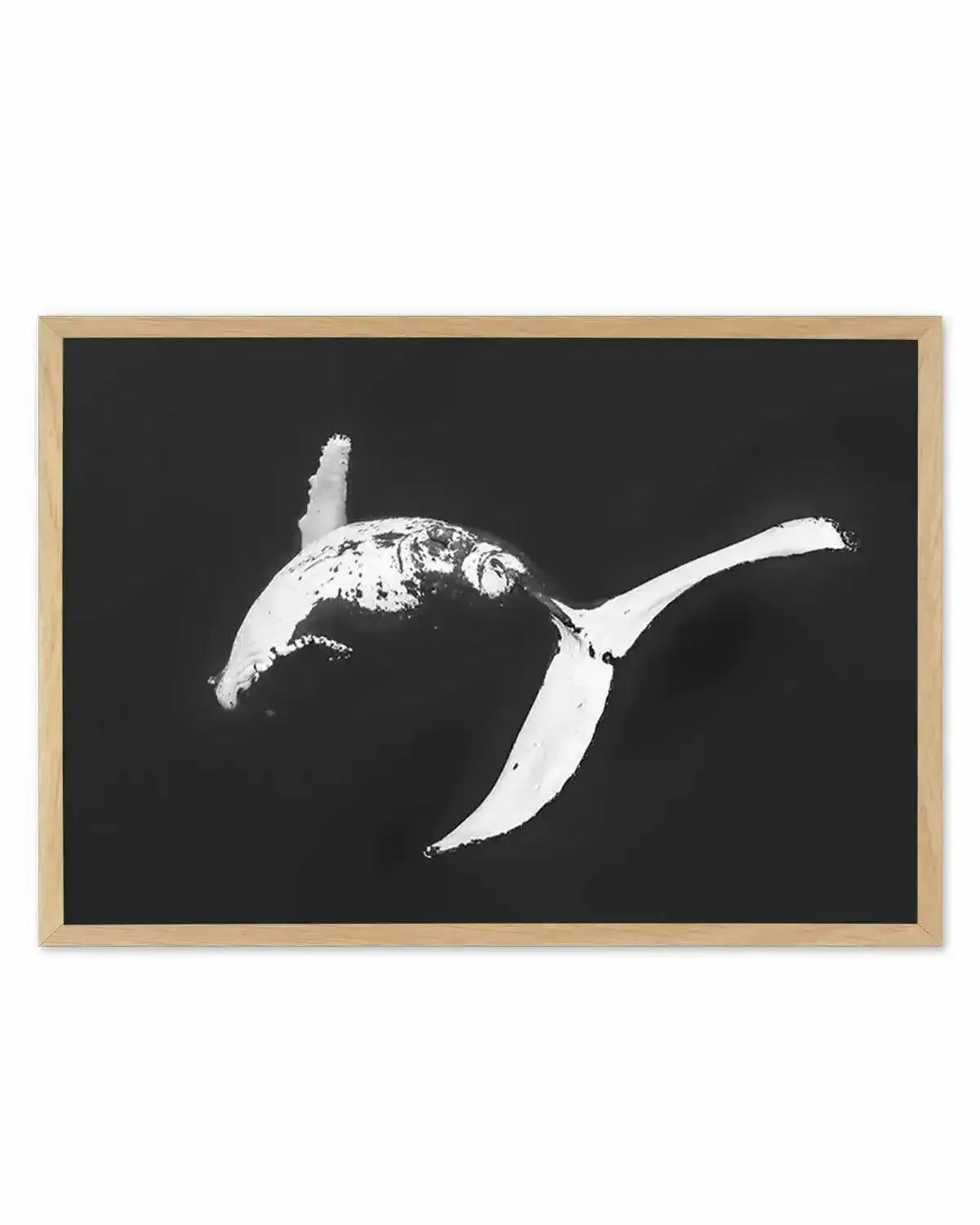 Humpback Whales I Art Print from Olive et Oriel where you can shop wallpaper and artworks online