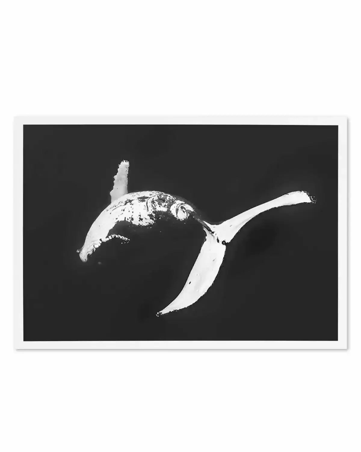 Humpback Whales I Art Print from Olive et Oriel where you can shop wallpaper and artworks online