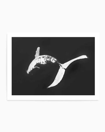 Humpback Whales I Art Print from Olive et Oriel where you can shop wallpaper and artworks online