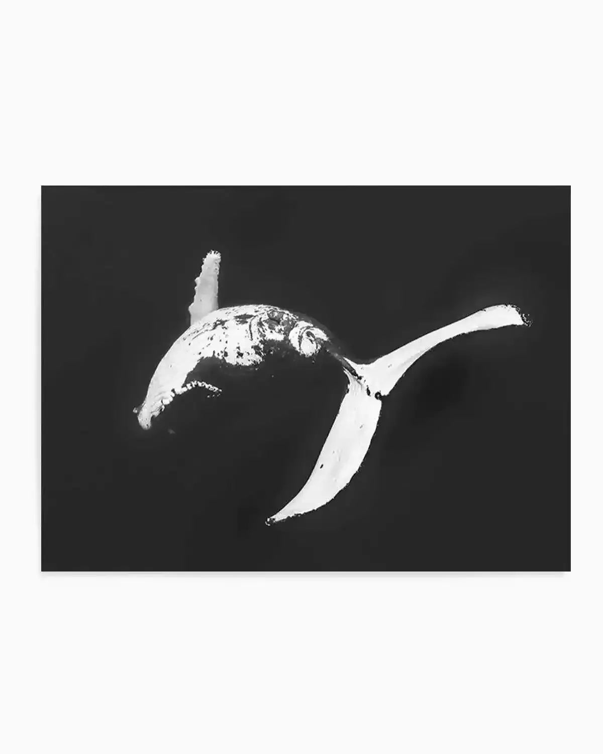 Humpback Whales I Art Print from Olive et Oriel where you can shop wallpaper and artworks online