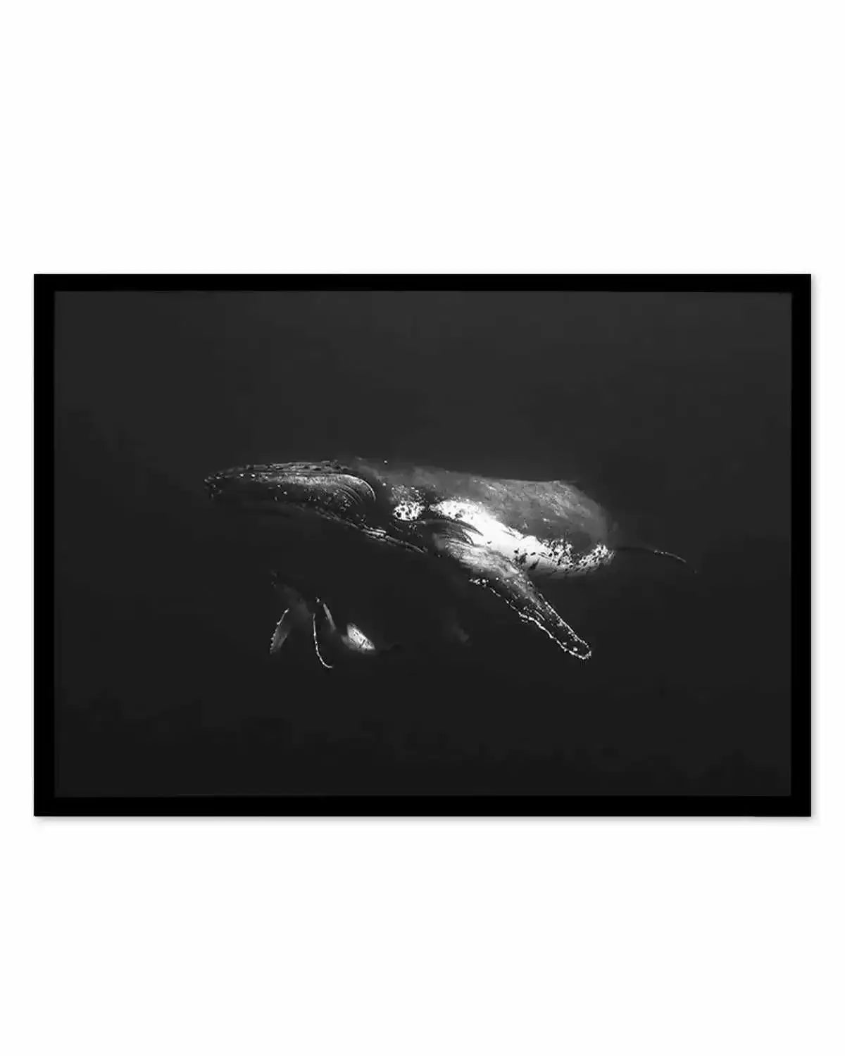 Humpback Whales II Art Print from Olive et Oriel where you can shop wallpaper and artworks online