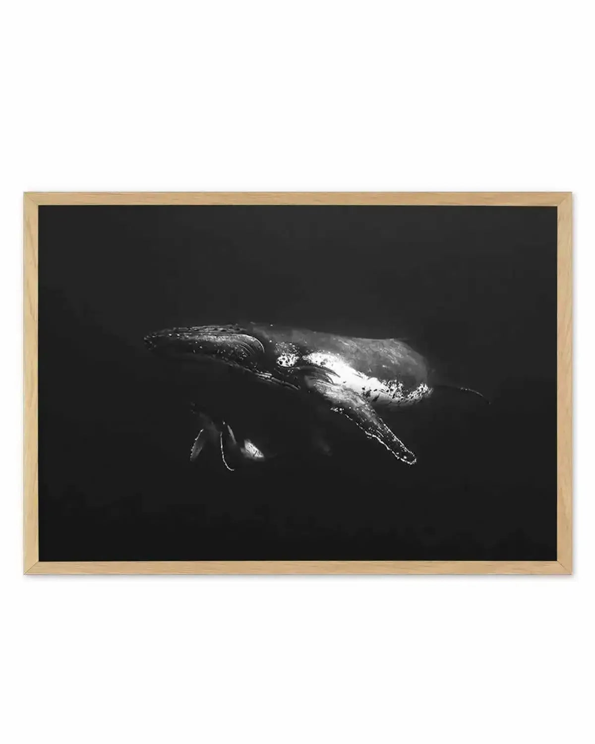 Humpback Whales II Art Print from Olive et Oriel where you can shop wallpaper and artworks online