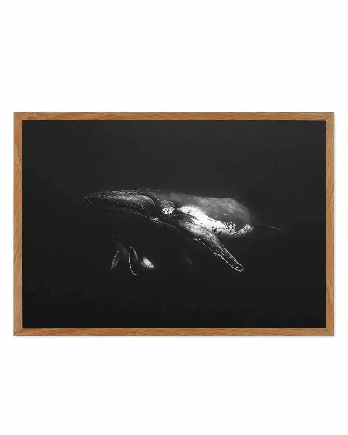 Humpback Whales II Art Print from Olive et Oriel where you can shop wallpaper and artworks online