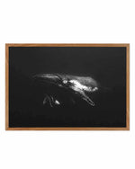 Humpback Whales II Art Print