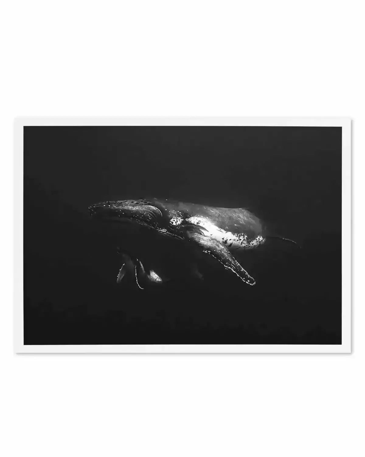 Humpback Whales II Art Print from Olive et Oriel where you can shop wallpaper and artworks online