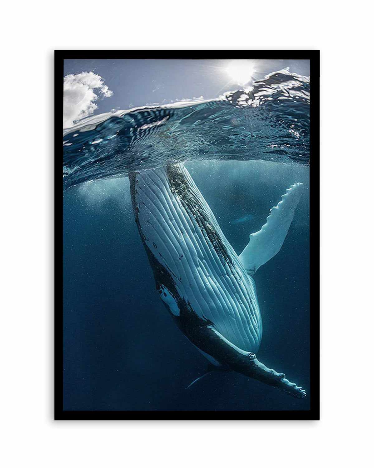 Humpback Whales III Art Print