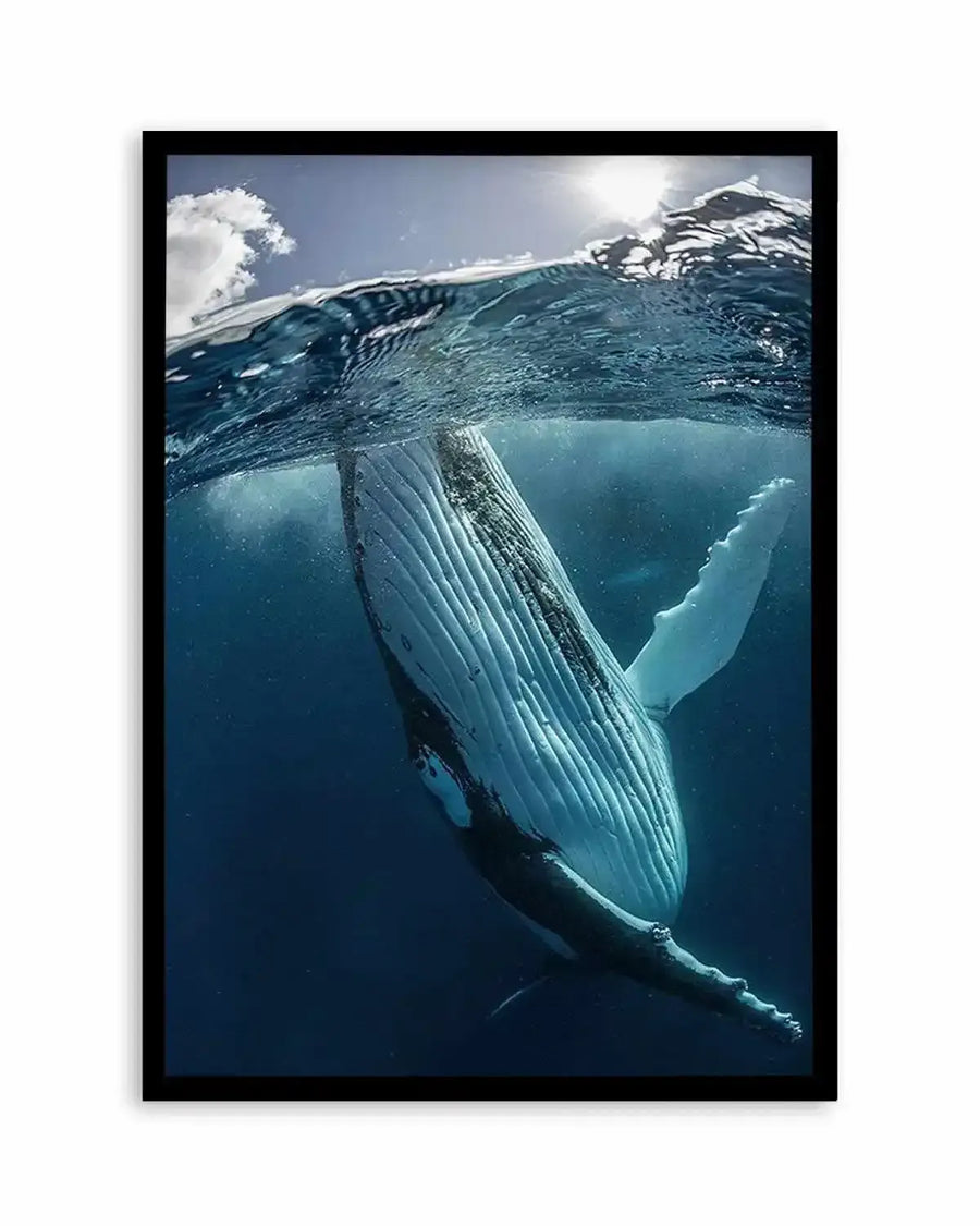 Framed photograph of a humpback whale swimming underwater with a black frame and white border. The whale is captured from below, with its white, ribbed belly and long pectoral fins visible against the deep blue water. Sunlight filters through the surface of the water, creating a bright glow and reflections, with a small white cloud visible in the sky above the water line.