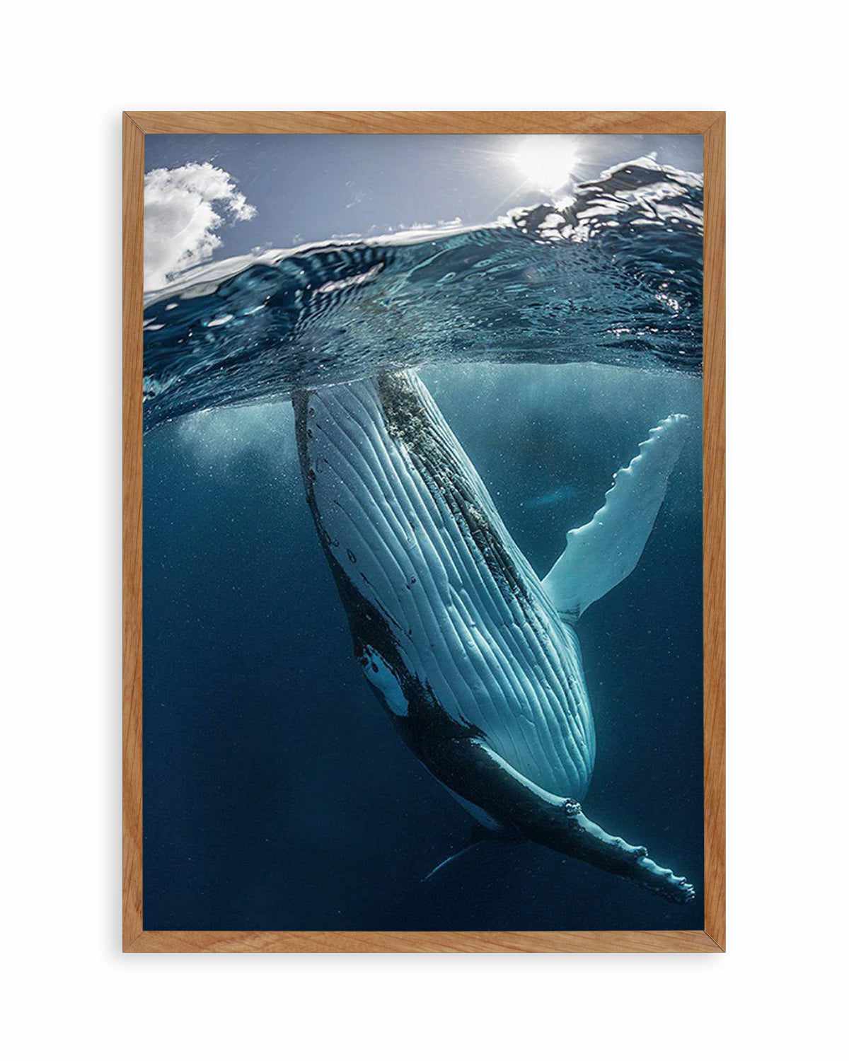 Humpback Whales III Art Print