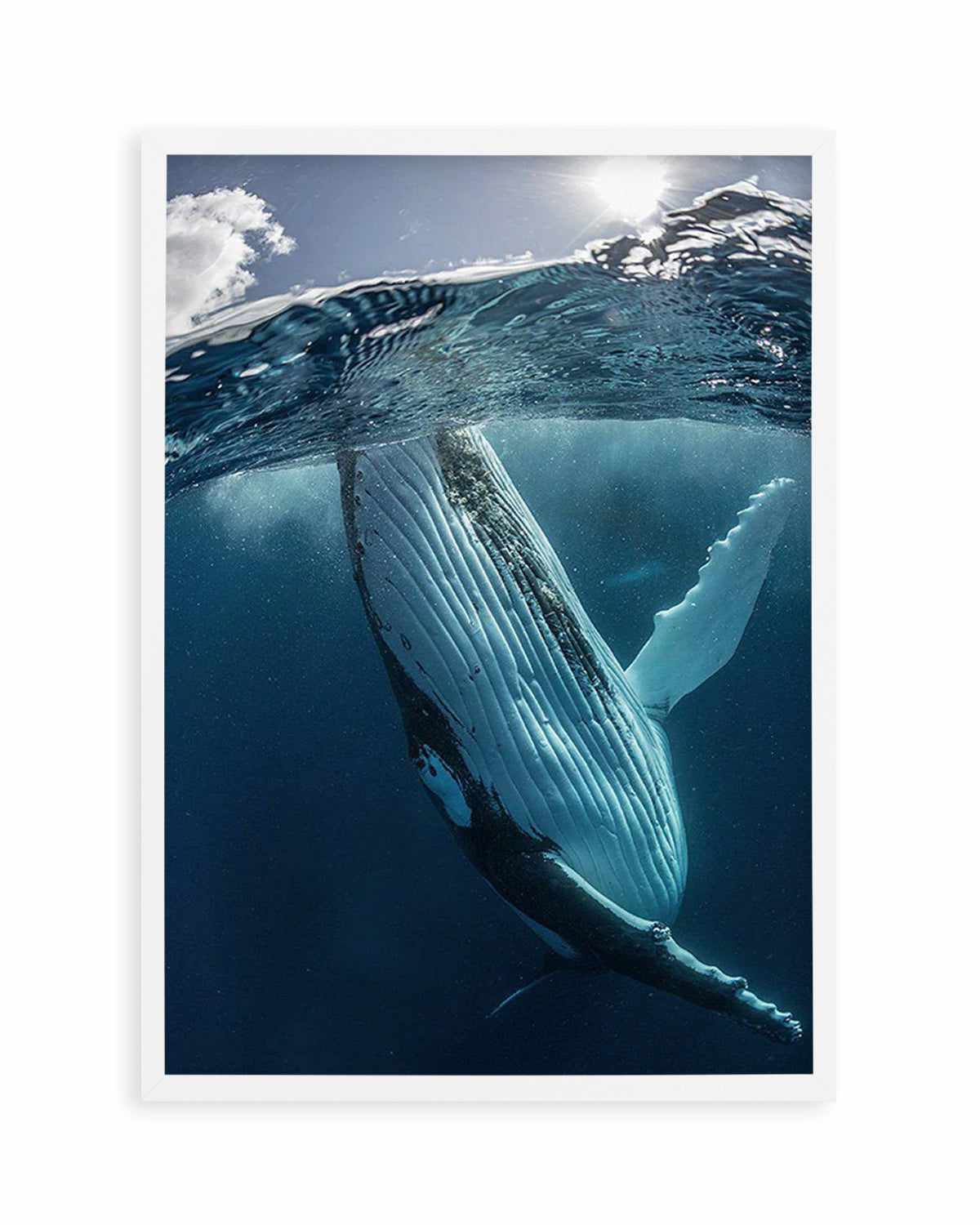 Humpback Whales III Art Print