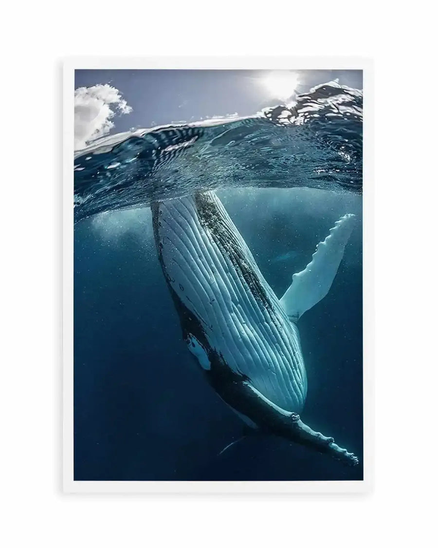 Humpback Whales III Art Print from Olive et Oriel where you can shop wallpaper and artworks online