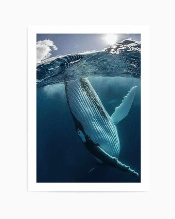 Framed photograph of a humpback whale swimming in deep blue ocean water, viewed from below the surface looking up towards the sun. The whale's pale underside and long pectoral fins are visible, with sunlight dappling through the water above and a bright sun flare at the top right.