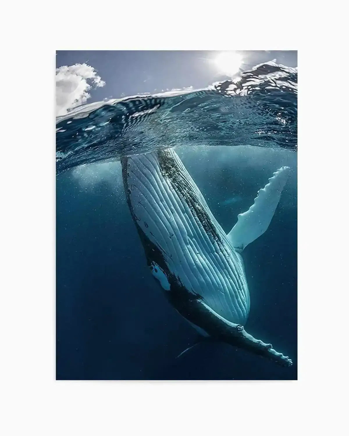 Humpback Whales III Art Print from Olive et Oriel where you can shop wallpaper and artworks online