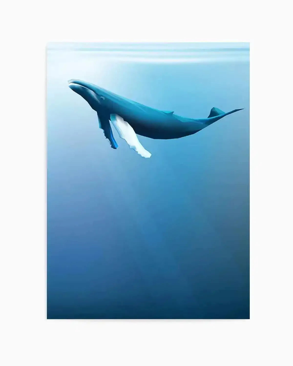 Humpback | Graphic Whales Collection Art Print from Olive et Oriel where you can shop wallpaper and artworks online