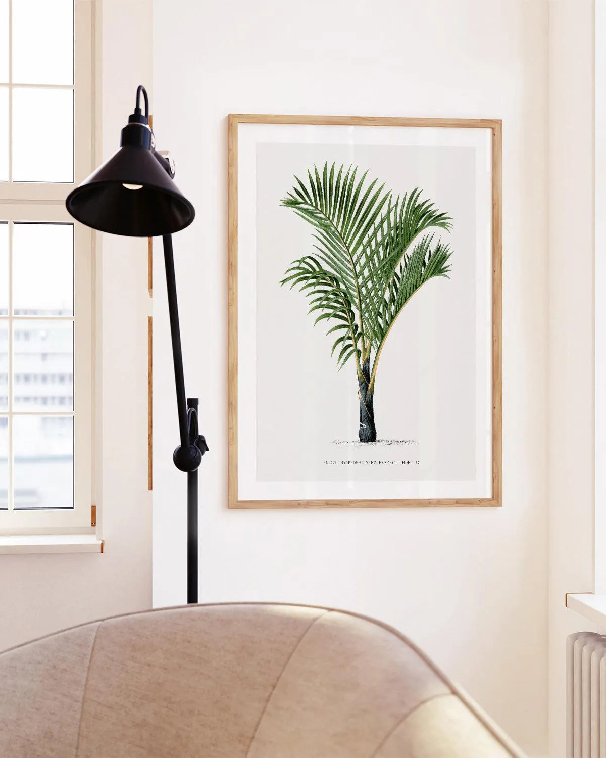 Hyophorbe Verschaffelti Vintage Palm Poster Art Print from Olive et Oriel where you can shop wallpaper and artworks online