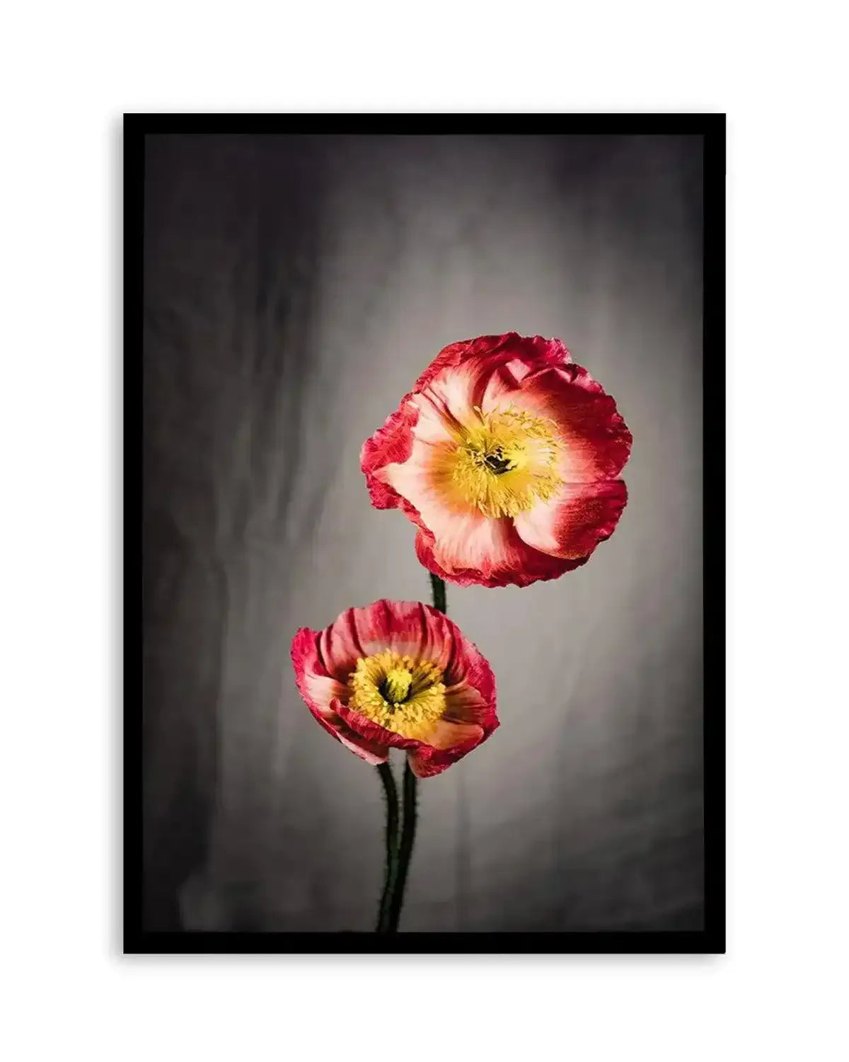 I Don't Think It's Love Art Print from Olive et Oriel where you can shop wallpaper and artworks online