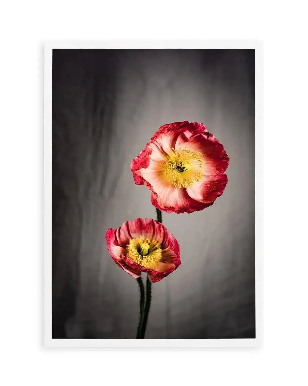 I Don't Think It's Love Art Print from Olive et Oriel where you can shop wallpaper and artworks online