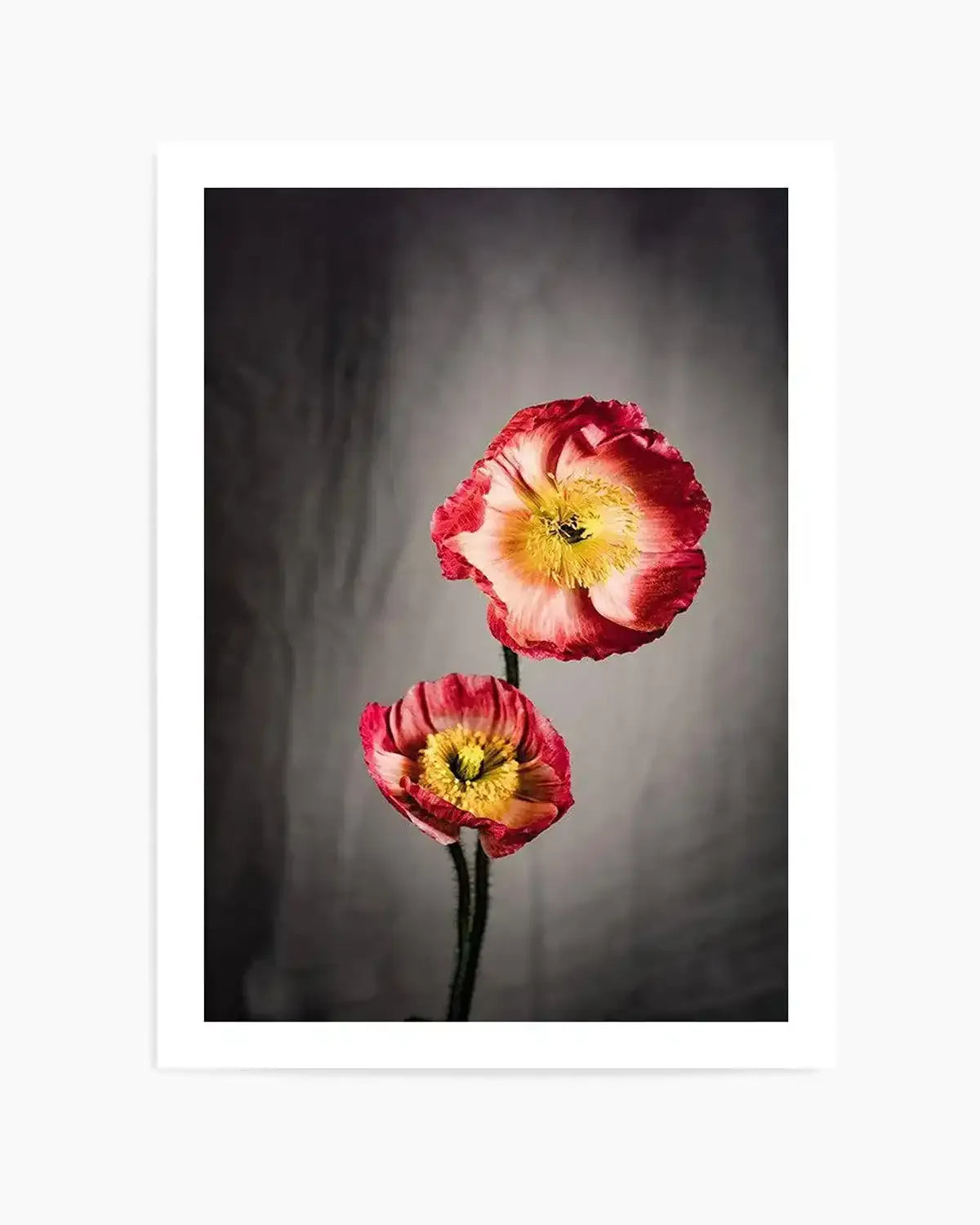 I Don't Think It's Love Art Print from Olive et Oriel where you can shop wallpaper and artworks online