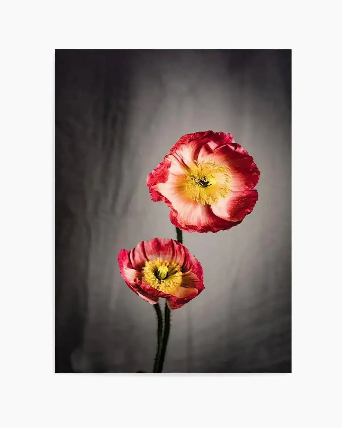 I Don't Think It's Love Art Print from Olive et Oriel where you can shop wallpaper and artworks online