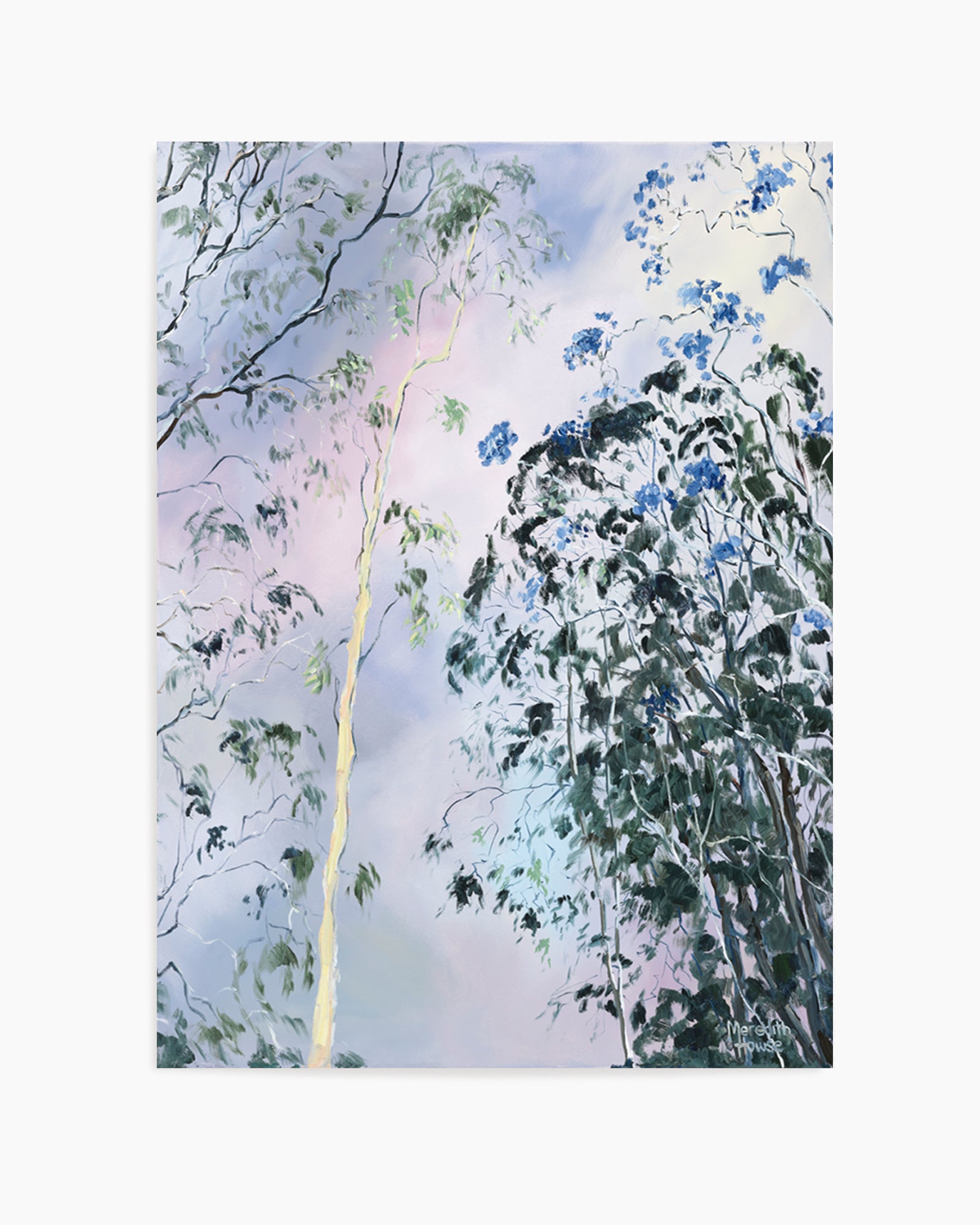 Illumination of Ashgrove Trees by Meredith Howse | Art Print
