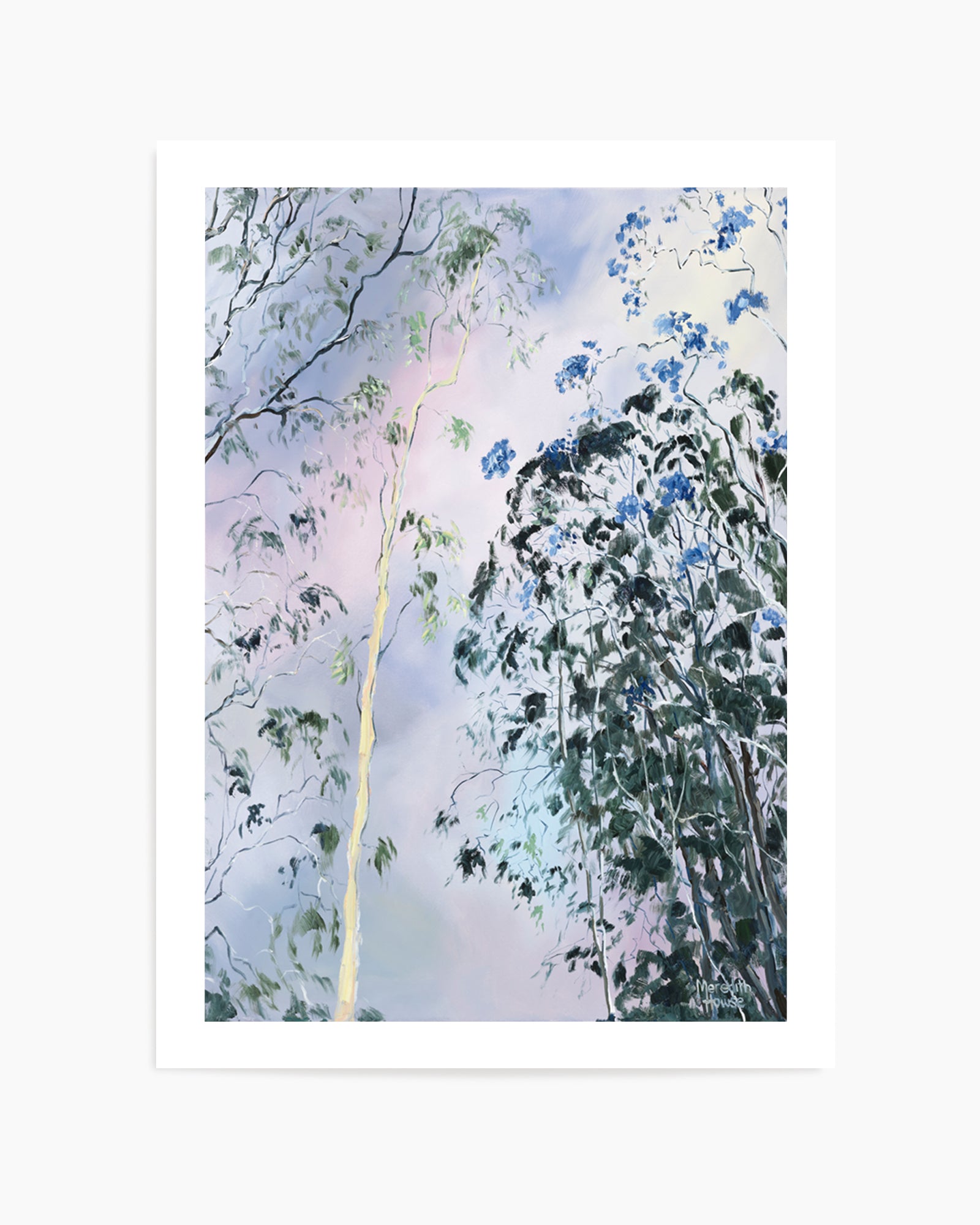 Illumination of Ashgrove Trees by Meredith Howse | Art Print