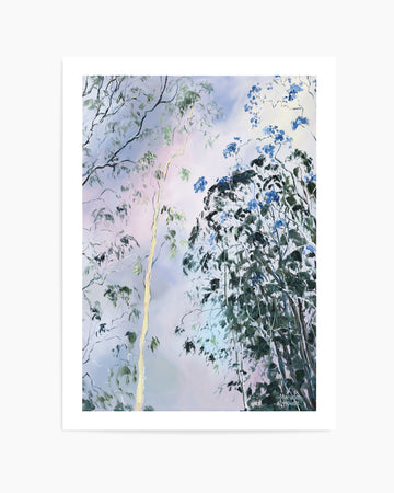 Illumination of Ashgrove Trees by Meredith Howse | Art Print