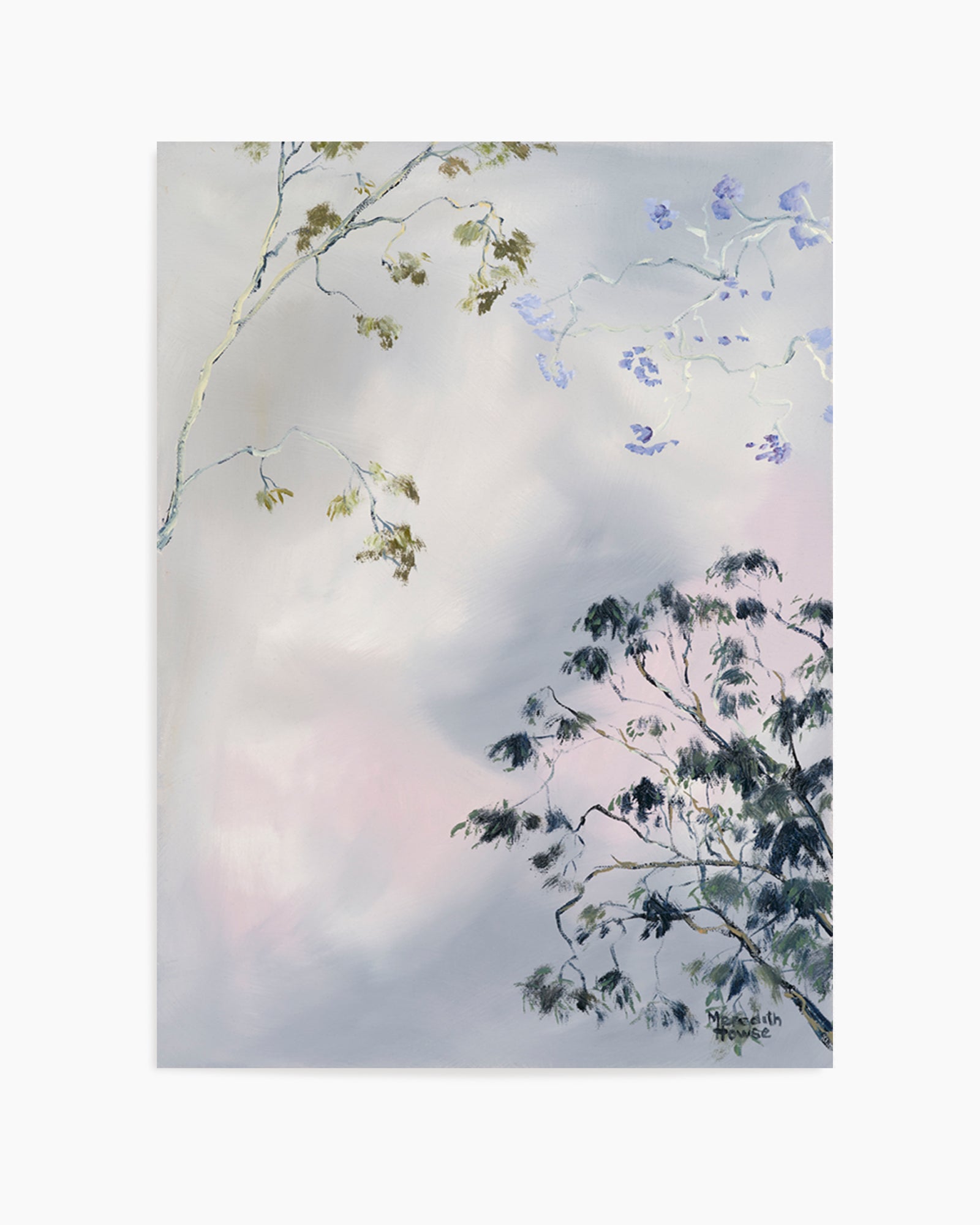 Illumination Brisbane Jacaranda by Meredith Howse | Art Print