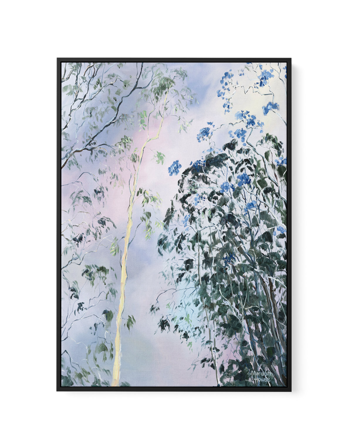 Illumination of Ashgrove Trees by Meredith Howse | Framed Canvas Art Print