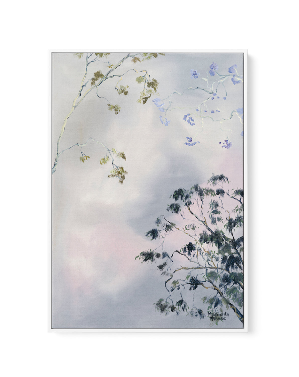 Illumination Brisbane Jacaranda by Meredith Howse | Framed Canvas Art Print