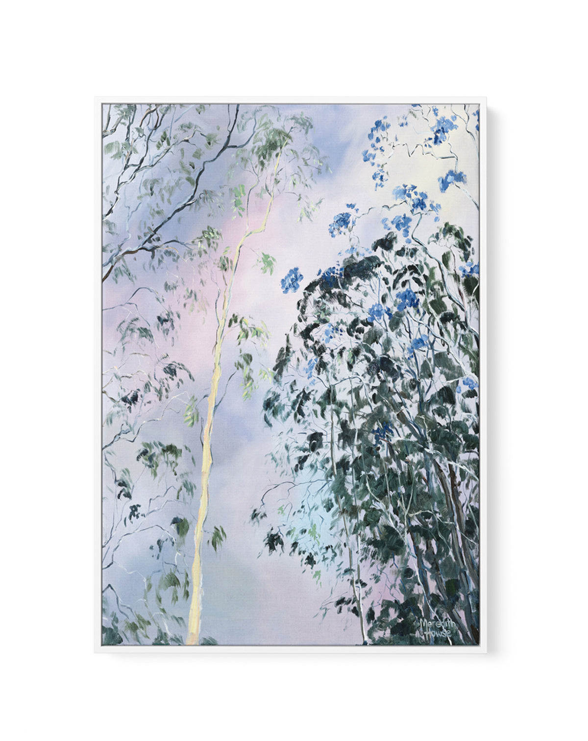 Illumination of Ashgrove Trees by Meredith Howse | Framed Canvas Art Print