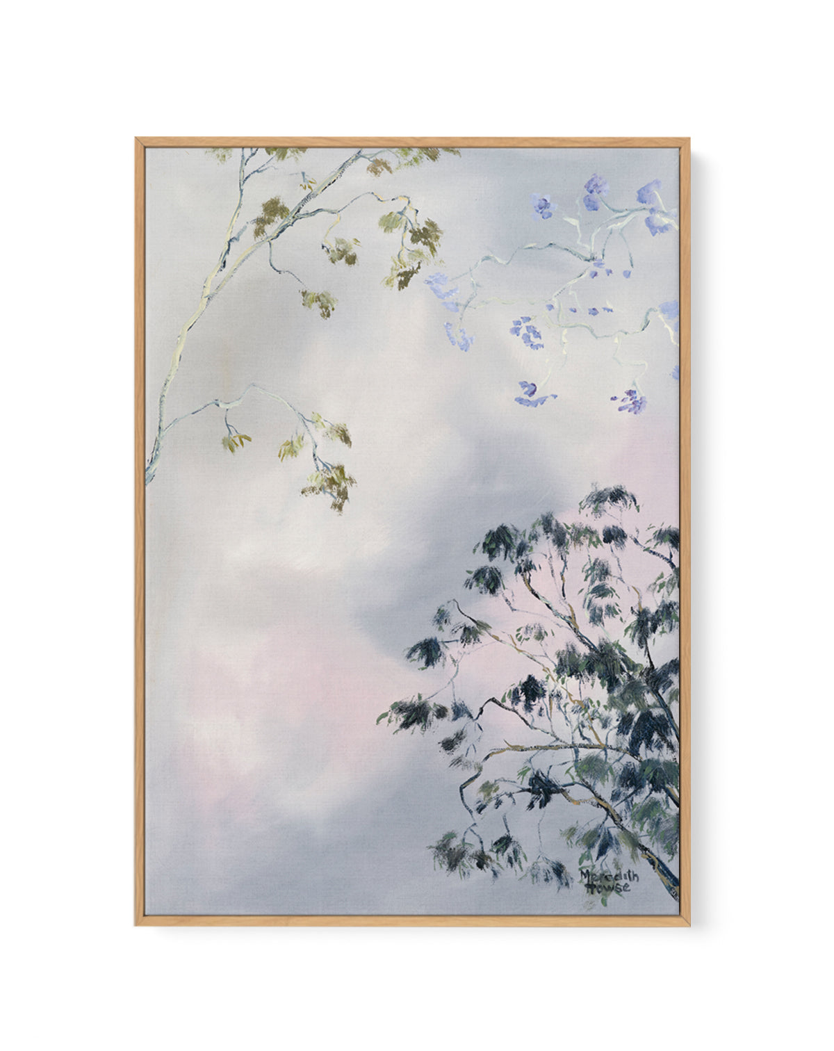 Illumination Brisbane Jacaranda by Meredith Howse | Framed Canvas Art Print