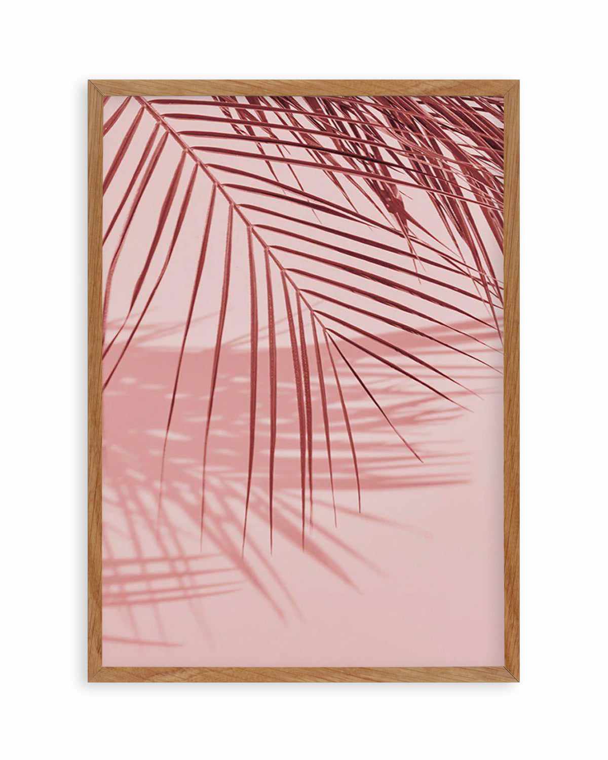 Ibiza Palms I Art Print