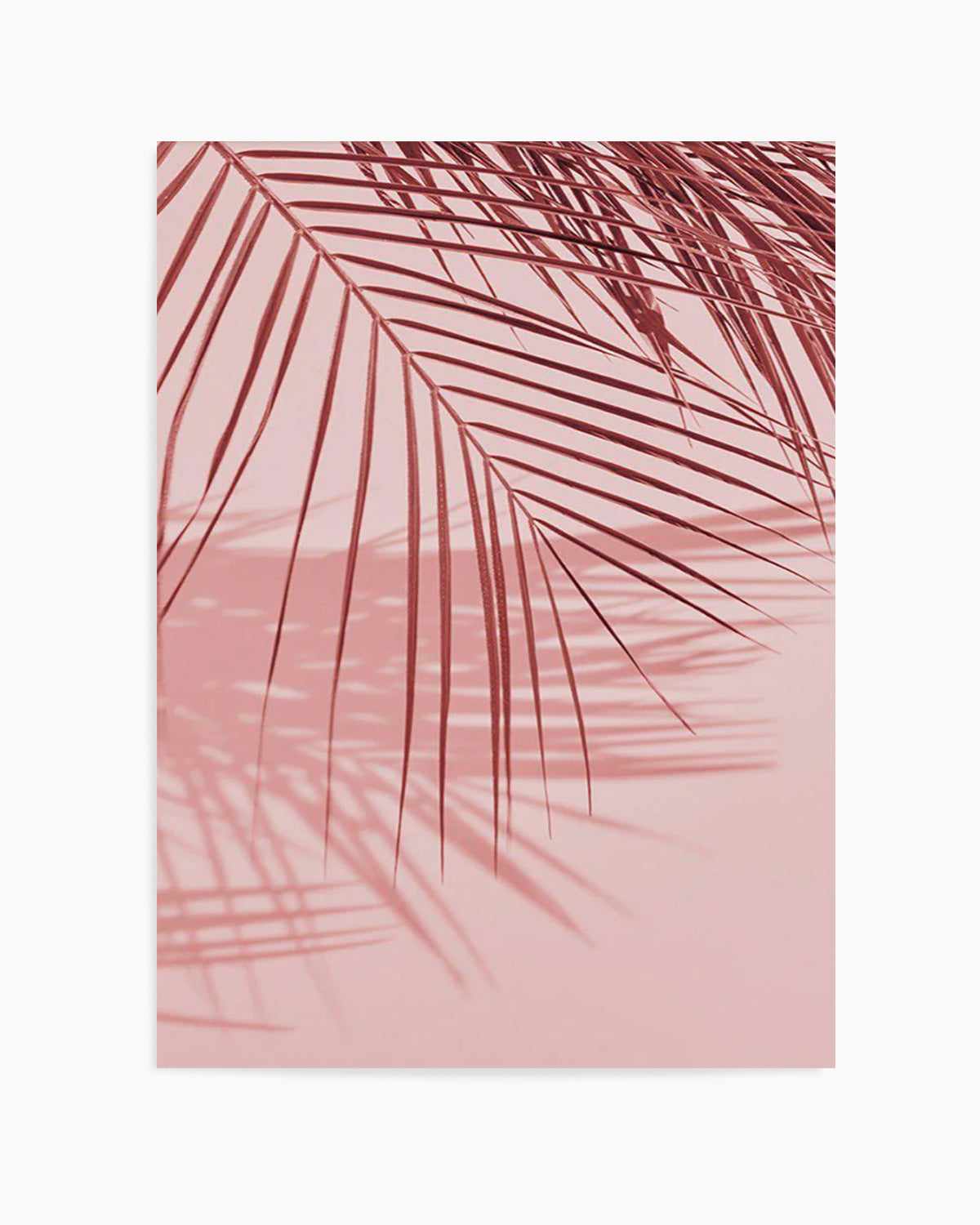 Ibiza Palms I Art Print