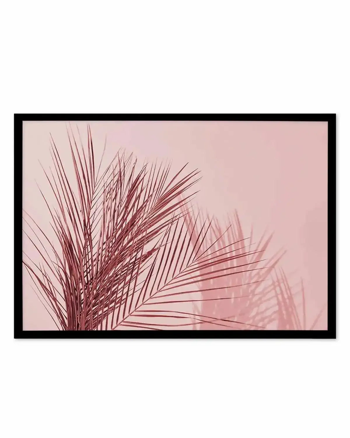 Ibiza Palms | LS Art Print from Olive et Oriel where you can shop wallpaper and artworks online